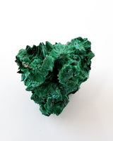 Velvet Malachite no. 2
