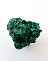 Velvet Malachite no. 2