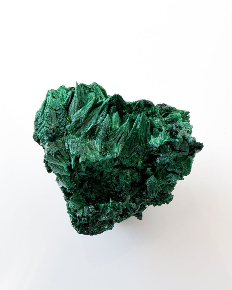 Velvet Malachite no. 2