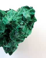 Velvet Malachite no. 2