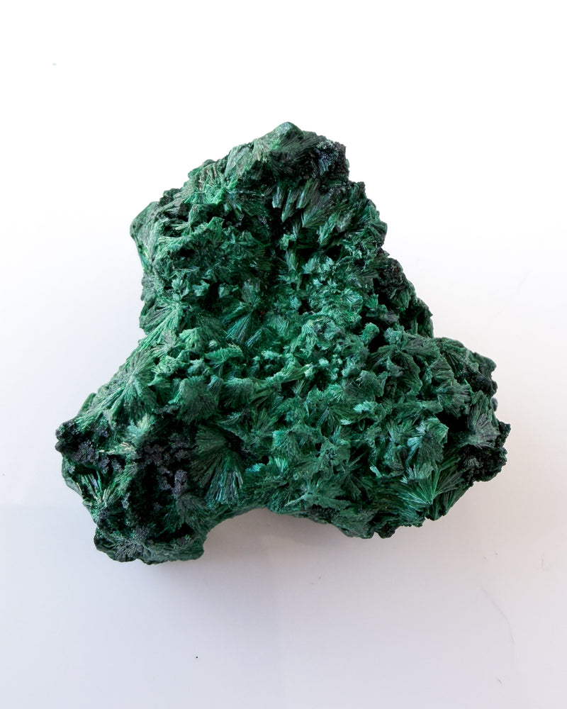Velvet Malachite no. 3