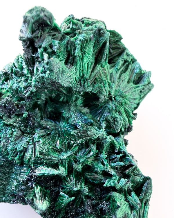 Velvet Malachite no. 3