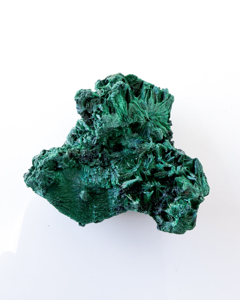Velvet Malachite no. 3
