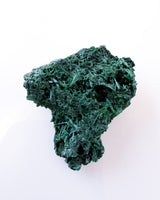 Velvet Malachite no. 4