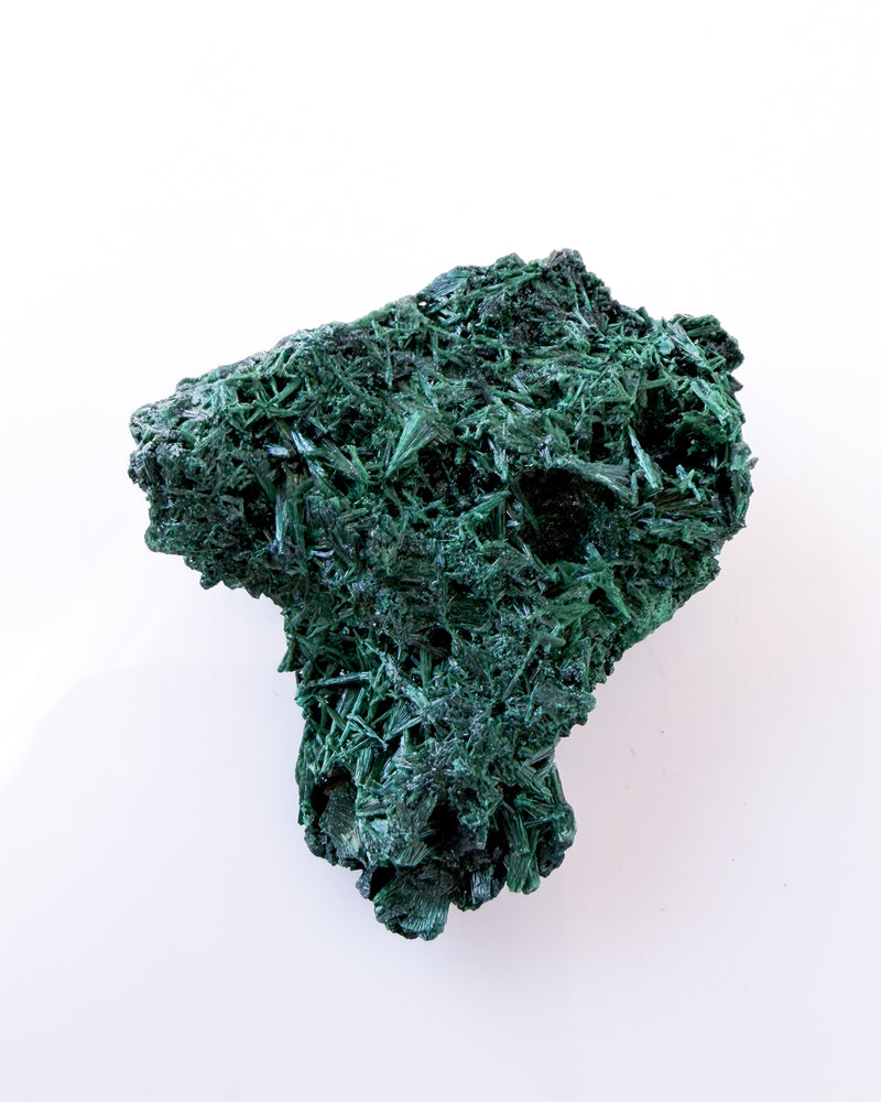Velvet Malachite no. 4