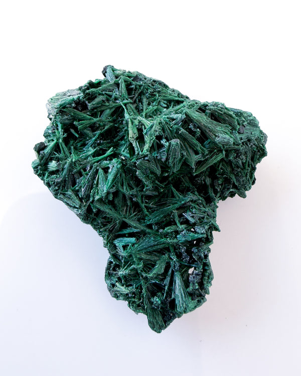 Velvet Malachite no. 4