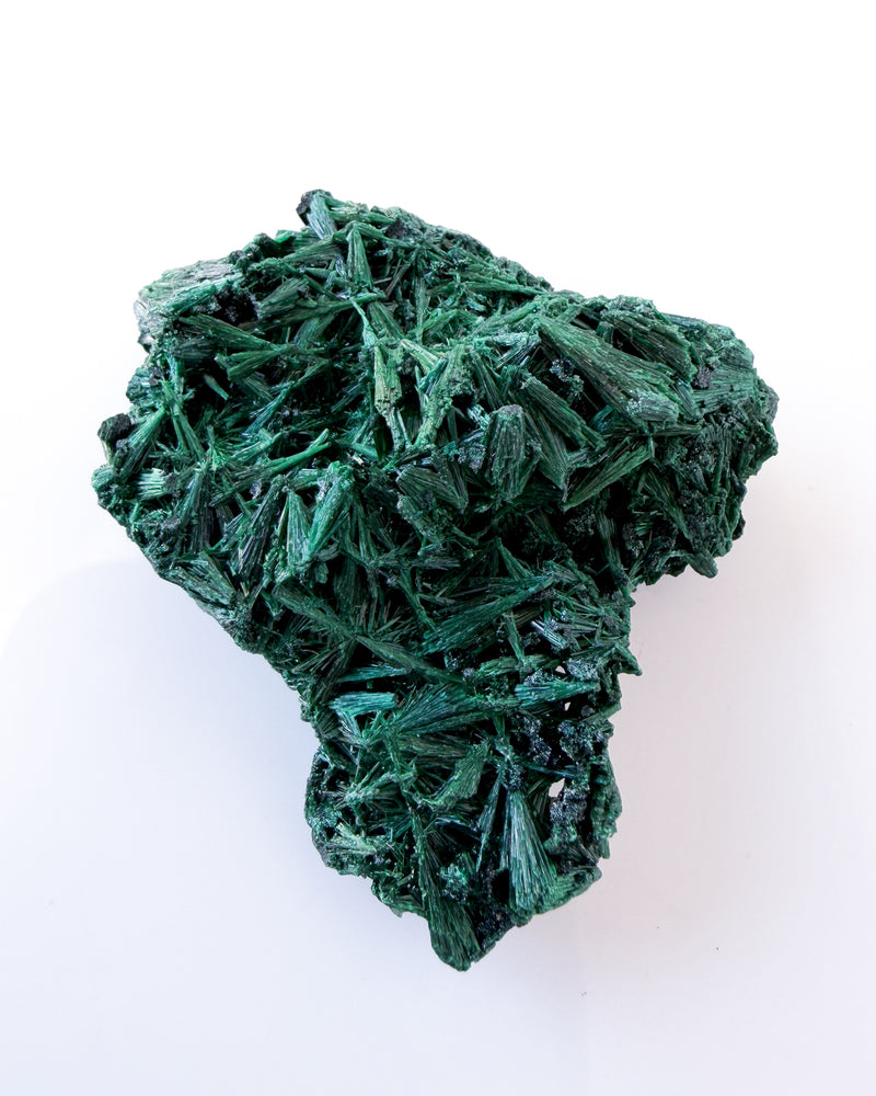 Velvet Malachite no. 4