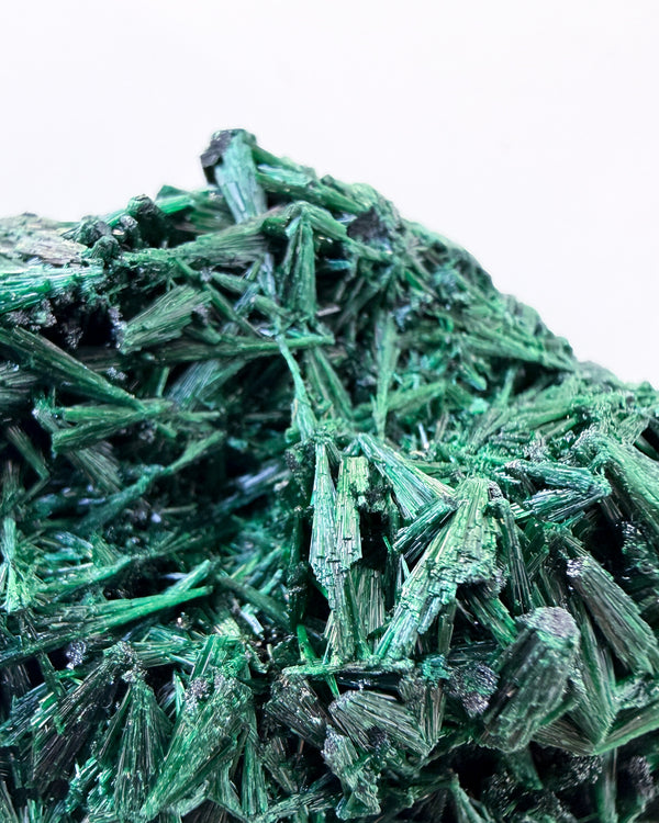 Velvet Malachite no. 4