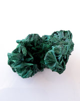 Velvet Malachite no. 5