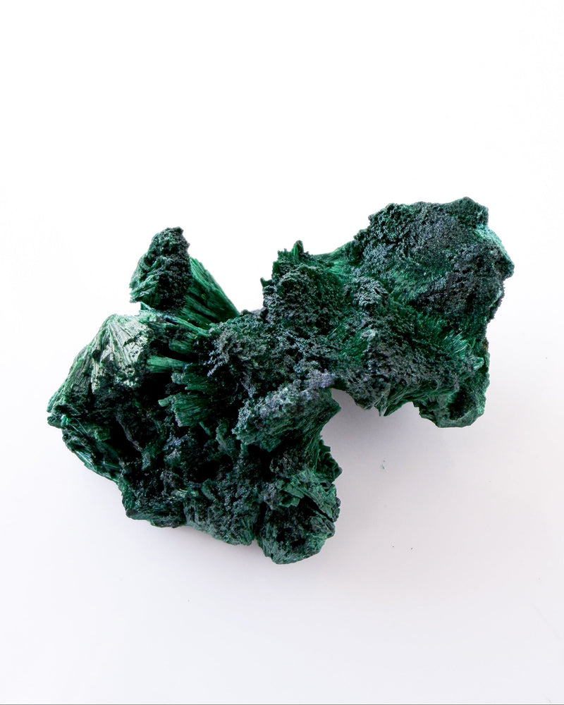 Velvet Malachite no. 5