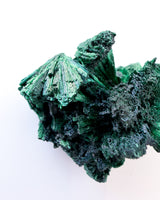 Velvet Malachite no. 5