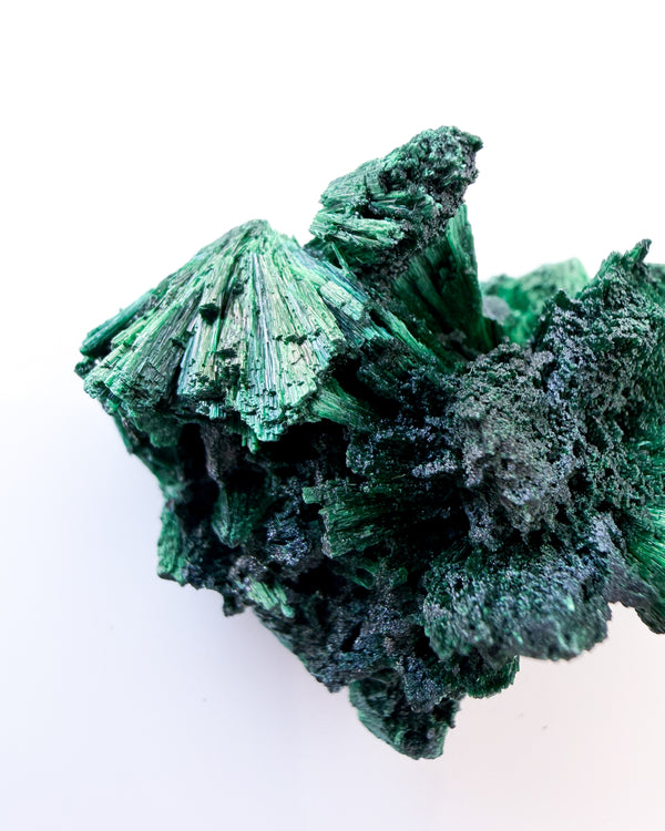 Velvet Malachite no. 5