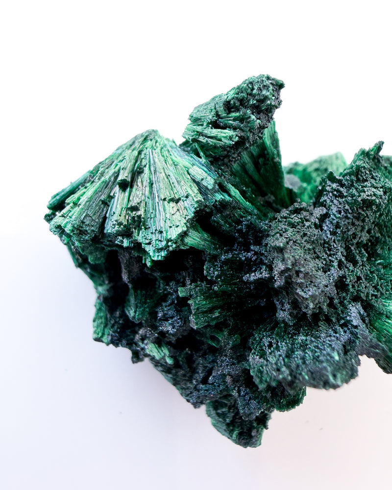 Velvet Malachite no. 5