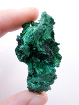 Velvet Malachite no. 5
