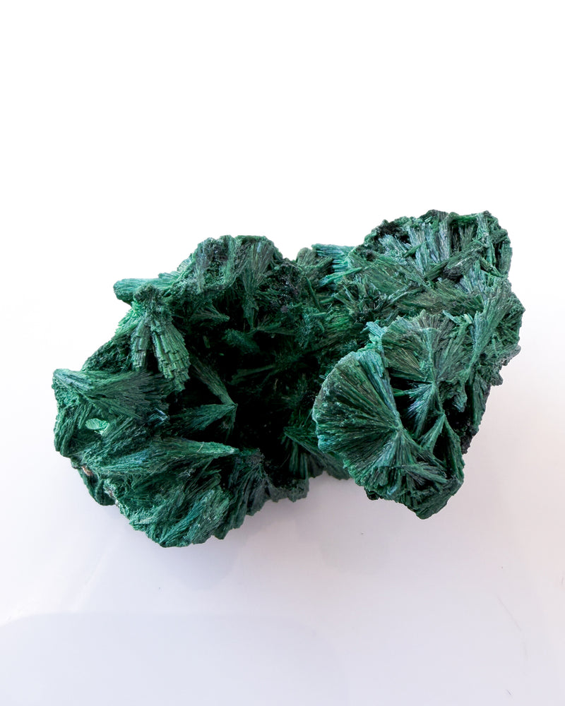 Velvet Malachite no. 5