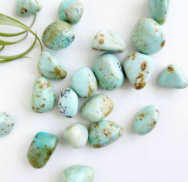 African Turquoise | AA Grade | High Vibe Crystals