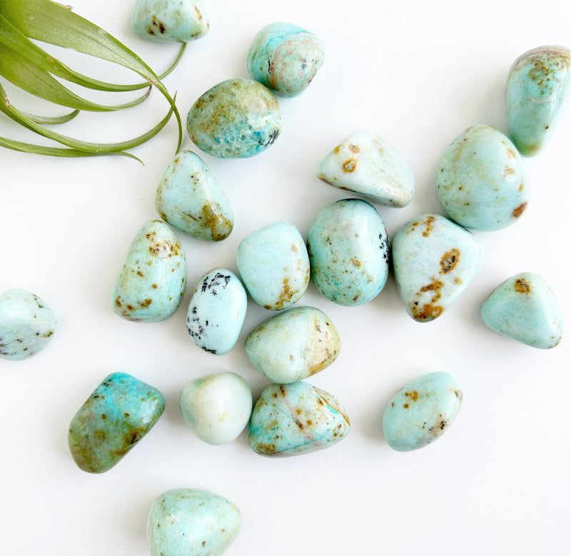 African Turquoise | AA Grade | High Vibe Crystals