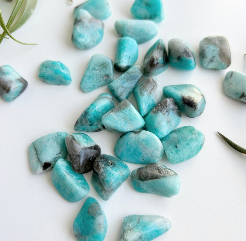 Tumbled Amazonite | Ethically Sourced | AA Grade
