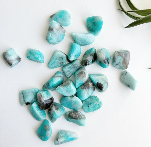 Tumbled Amazonite | Ethically Sourced | AA Grade