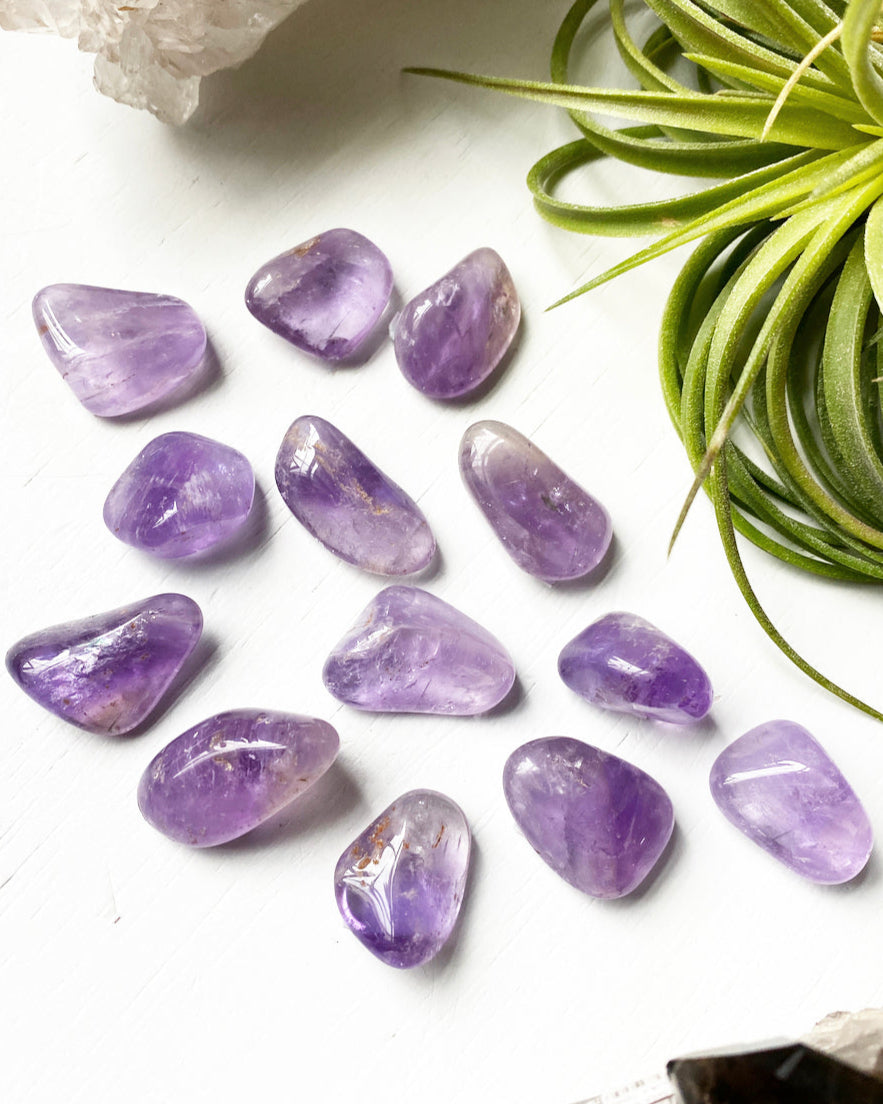 Tumbled Amethyst Ethically Sourced Crystals A Grade MeadowsCrystals