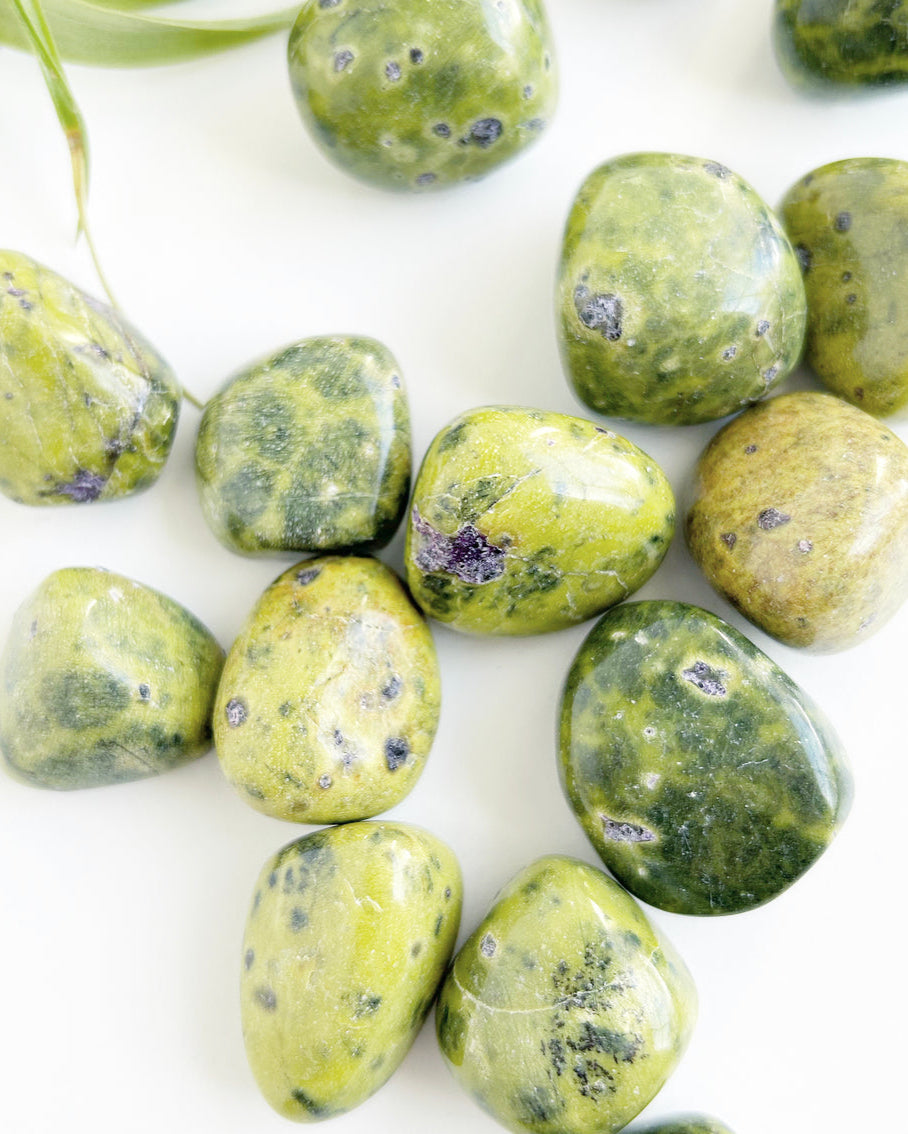 Tumbled Atlantisite | AAA Grade | High Vibe Crystals – MeadowsCrystals