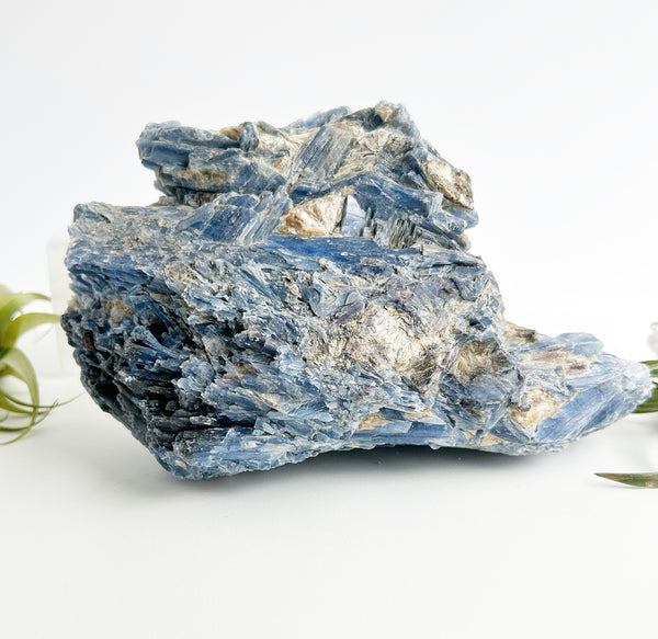 Raw Blue Kyanite Specimen | High Vibe Crystals