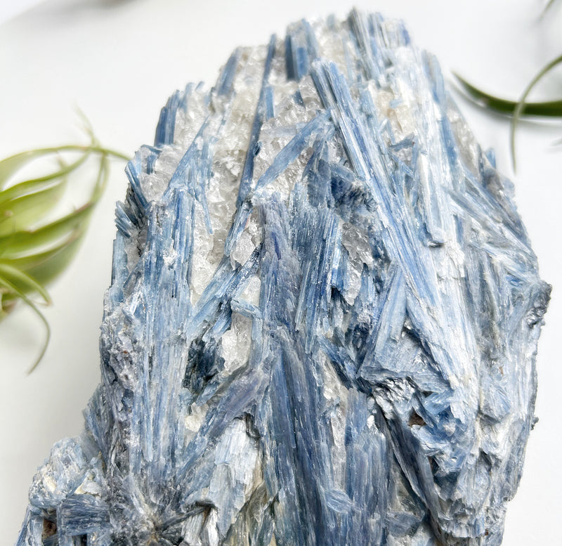 Raw Blue Kyanite Specimen | High Vibe Crystals