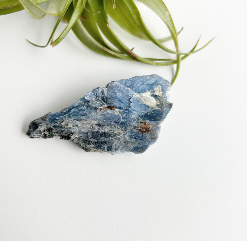 raw blue kyanite